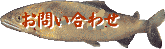 ���[���{�^��