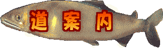 ���ē��{�^��