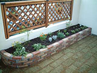 flowers in flowerbed