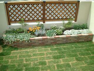 flowers in flowerbed