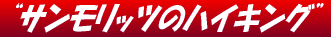 gTbc̃nCLOh