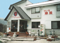 BSi
