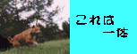 ��׎Č��̃o�i�[