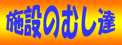 �{�݂̂ނ��B