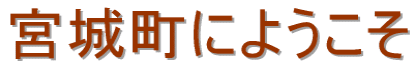 {钬ւ悤