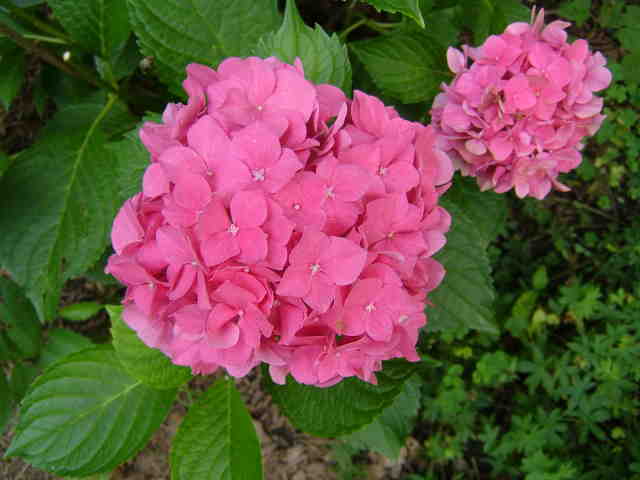 img0083.jpg