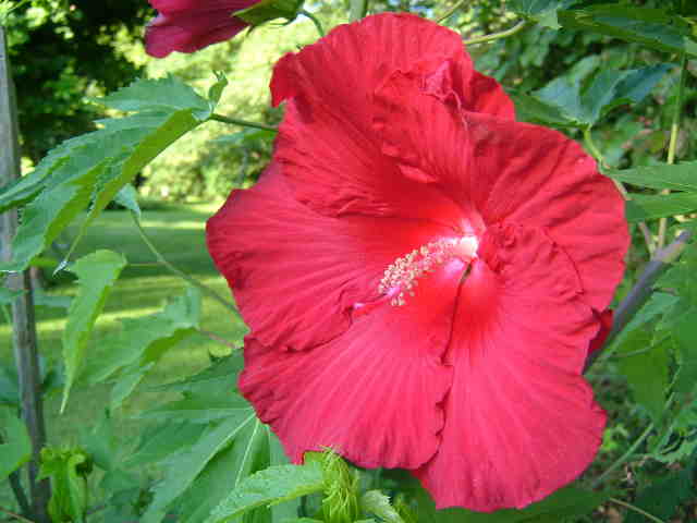 img0094.jpg