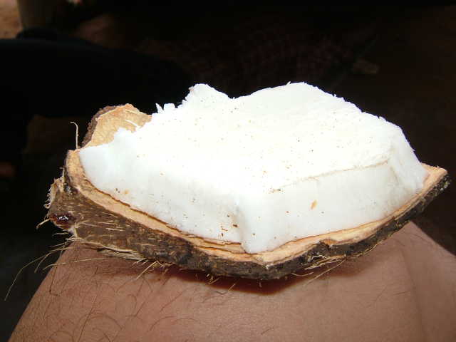 img0026.jpg
