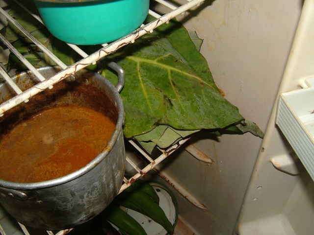 img0063.jpg