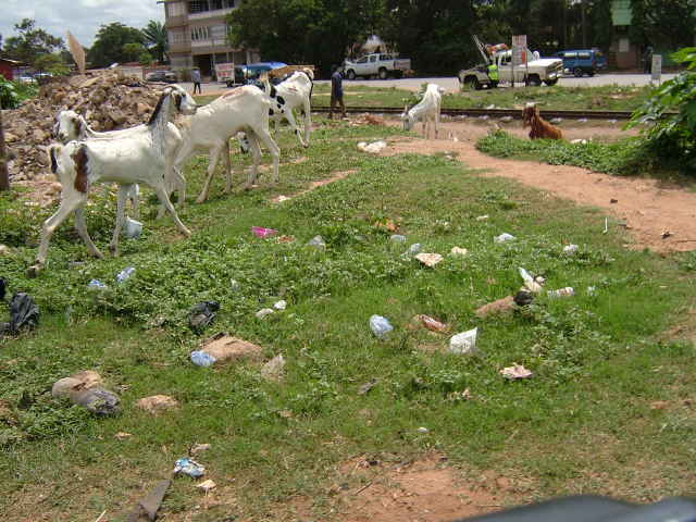 img0073.jpg