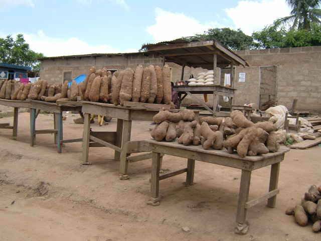 img0131.jpg