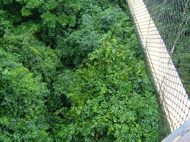 img0159.jpg
