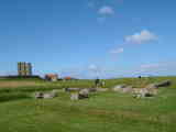 img0047.jpg