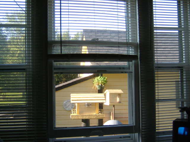 img0066.jpg