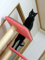 タワー