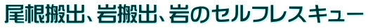 �e��̌��J�R�s