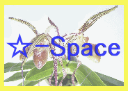 -Space