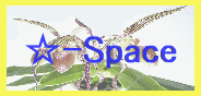 -Space