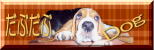 ԂDOG