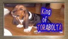 King of TRABOLTA