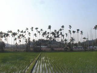 阿里山鉄道−麓