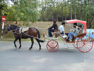 �����΁|�n��