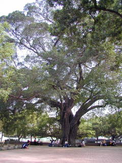 ���|�E�q�_�|�K�W���}��