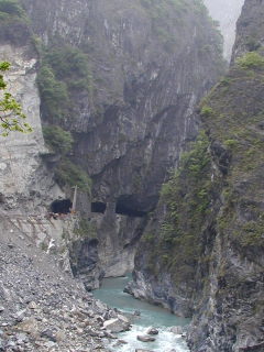 �C���f�B�A���̊�