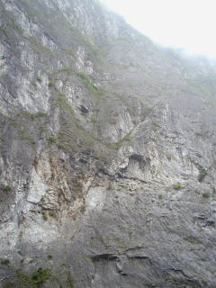 ���[��f�R