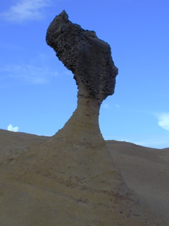 ����|�N���I�p�g���̎�