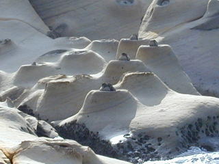 ����|���[�\�N��