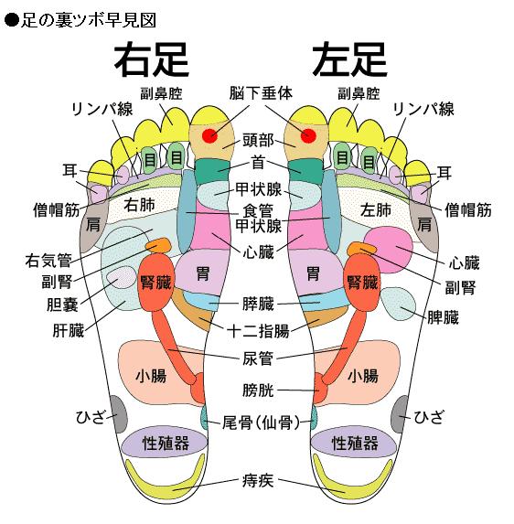 反射区の捉え方