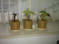 覆いを作った