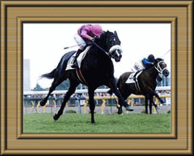 �i���^�u���C�A���̃_�[�r�[����