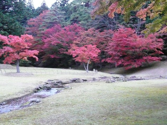 曲水の庭
