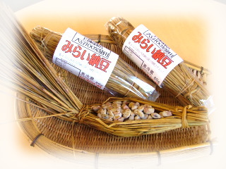 �݂炢�[���i�m䚁j