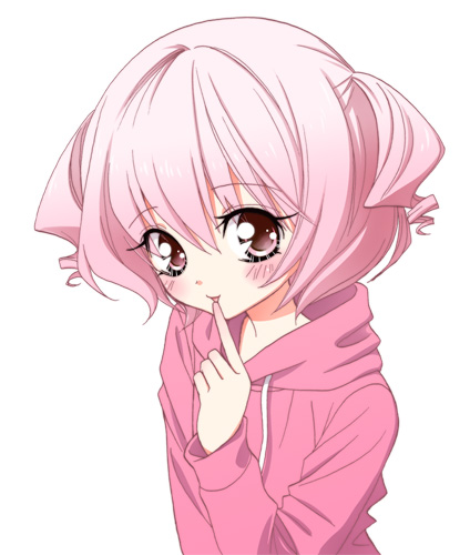 ないしょのつぼみ