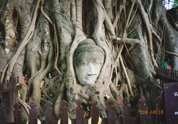 �z�����J�������l�̂���