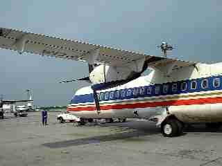 �Ԃ�����Ԃ���