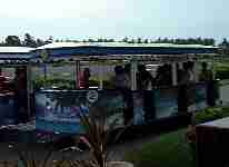 �H�ʓd�Ԃ݂����c