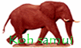 `Koh samui`@@{̓TCɂۂ͂[[ۂȂ񂾂ǁcǂACRȂ炳c