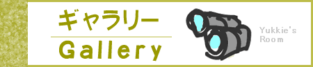 gallery title